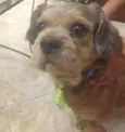 Bob