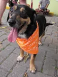 Neguinho