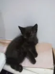 Não têm nome