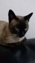 Tuco