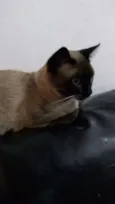 Tuco