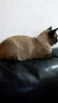 Tuco