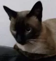 Tuco