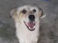 Nina