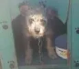 Tota