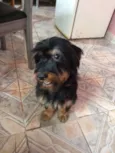 Billy