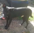 não tem 