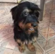Billy