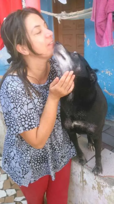Cachorro raça srd idade 6 ou mais anos nome Charlote