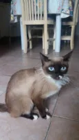 Nina