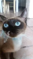 Nina