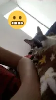 Mimi