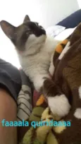 Mimi