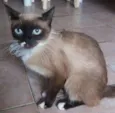 Nina