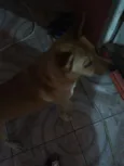 Marley