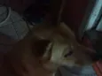 Marley