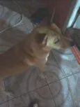 Marley