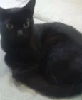 Frida