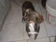 Lunna