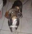 Lunna