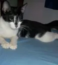 Nina