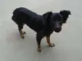 Lupita