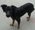 Lupita