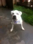 Vida