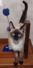 Fred