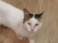 Zé 