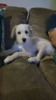 Tobby