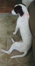 Samantha