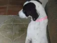 Samantha