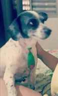 Francisco