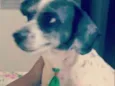 Francisco