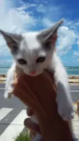 TOM