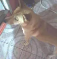 Marley