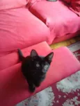 salem