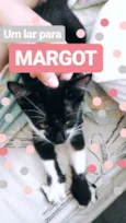 Margot