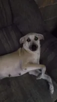 Kira