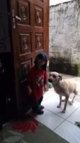 Kira