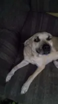 Kira