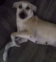 Kira