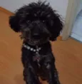 Julie