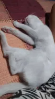 Shakti