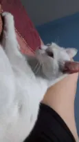 Shakti