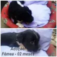 nome