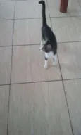 Não ainda