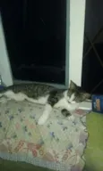 Não ainda