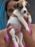 ANITA
